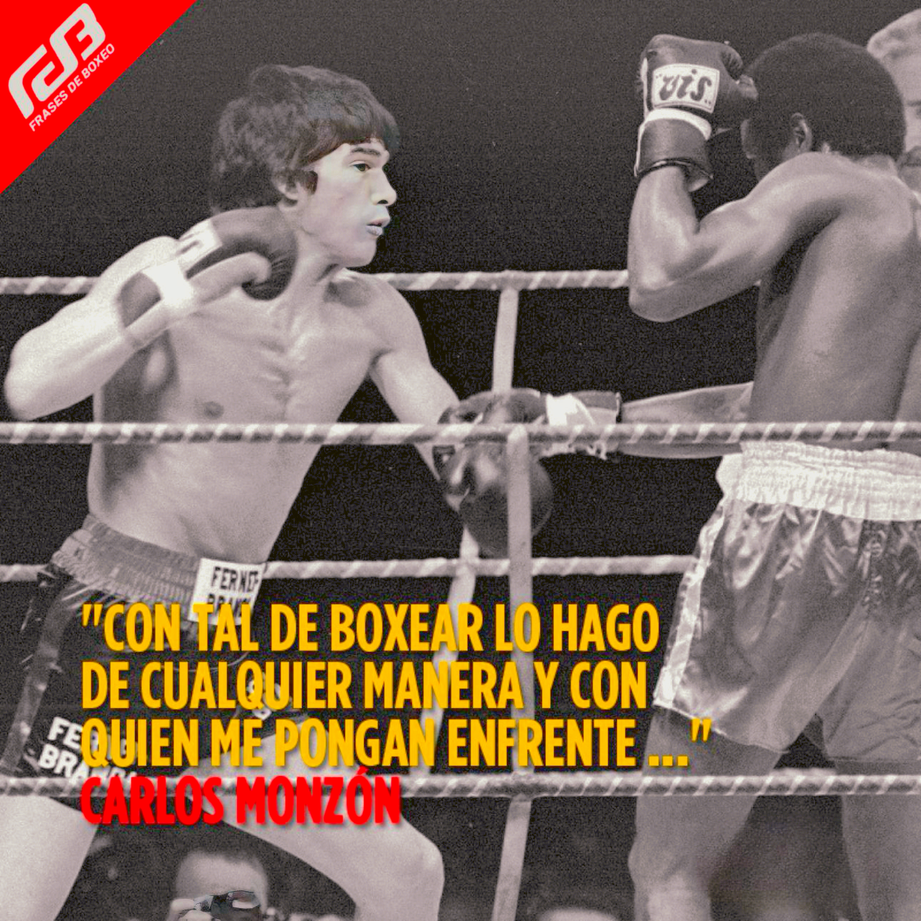 "Con tal de boxear lo hago de cualquier manera y con quien me pongan enfrente..." Carlos Monzón (Frases de Boxeo).