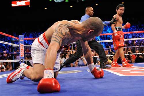 Manny Pacquiao vs Miguel Cotto 