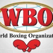 Organización Mundial de Boxeo