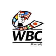 Consejo Mundial de Boxeo